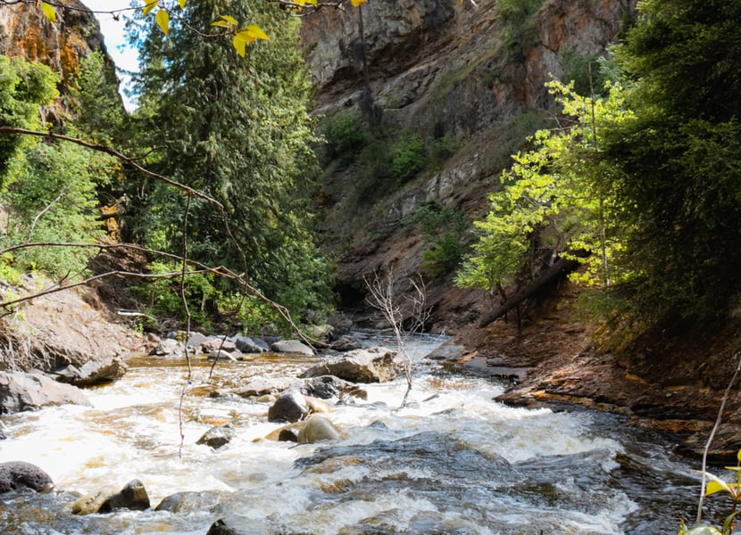 The creek through the Canyon at Bear Creek