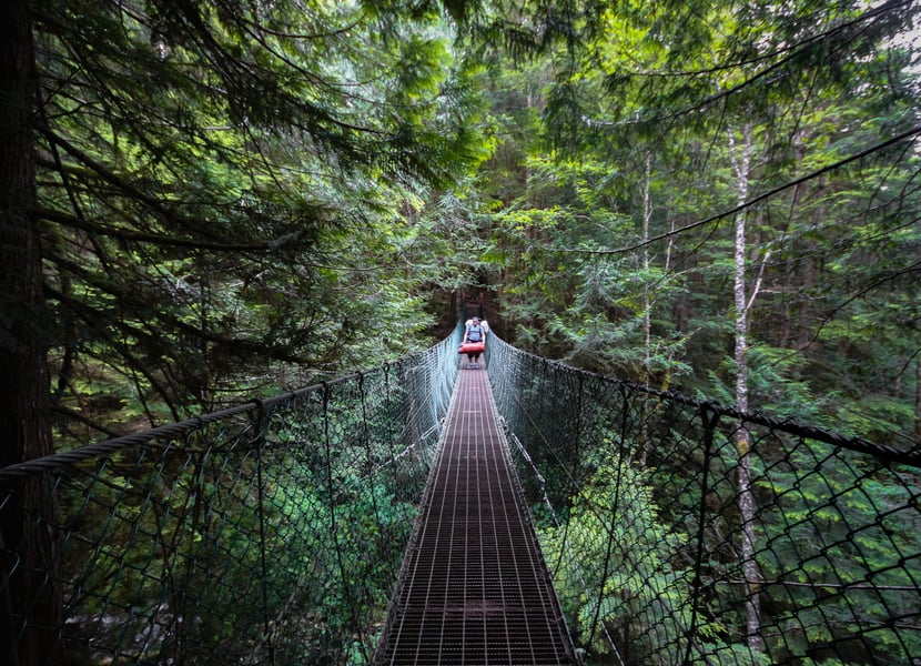 Suspension bridge crossing Pete Wolfe Creek on the trail to Mystic Beach in Juan de Fuca Provincial Park.