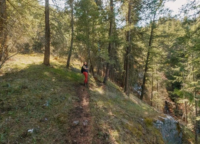Women hiking on a narrow trail through the fores