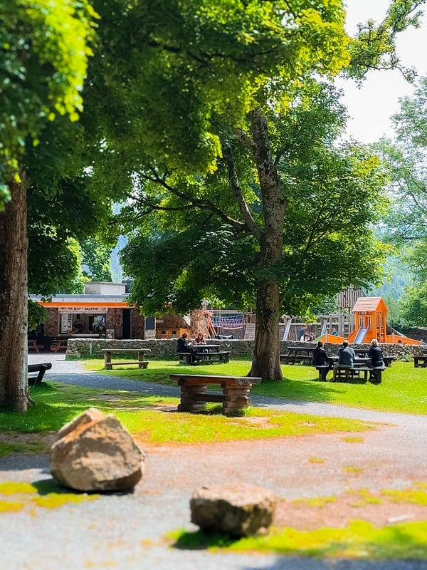 The Bug Buffet and playground in the trees.