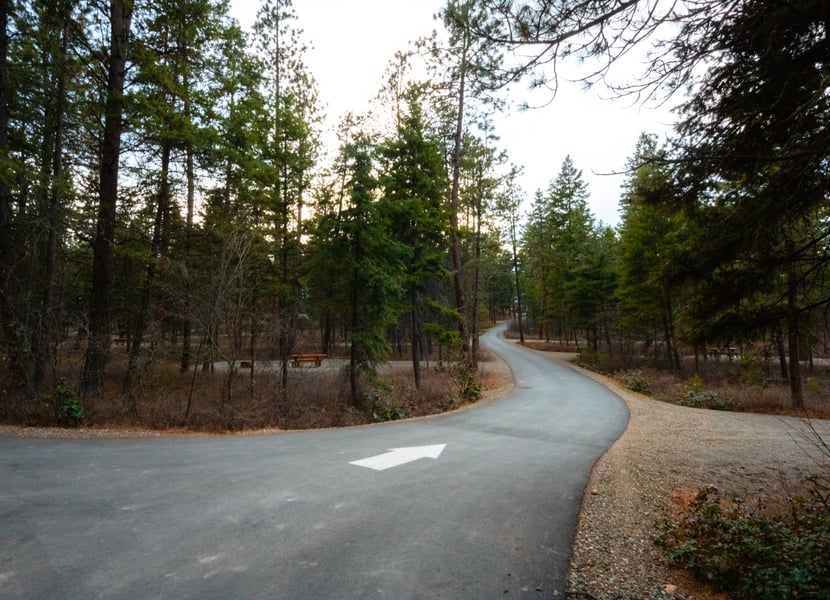 Paved road through the Ellison Provincial Park campground on a dreary day.
