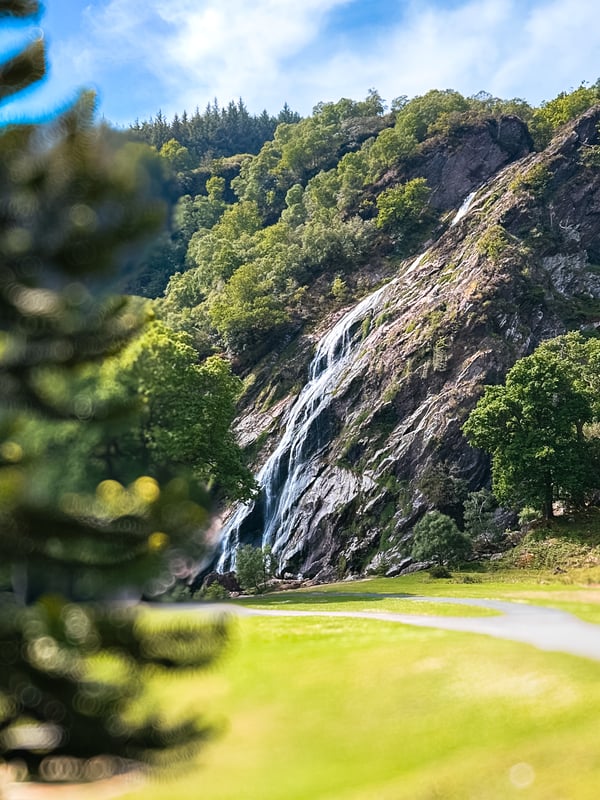 Out of focus tree in the foreground with Powerscourt Waterfall in the background.