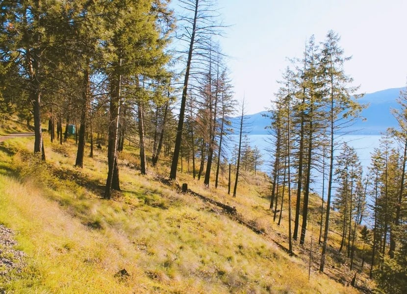 View of Knox Mountain, looking toward Okanagan Lake from the Paul's Tomb trail.