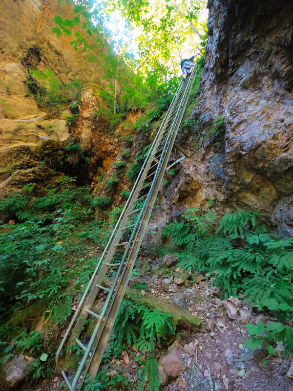 Metal 30-foot ladder descending a vertical rock face on the Lava Canyon Trail near Mount St. Helens