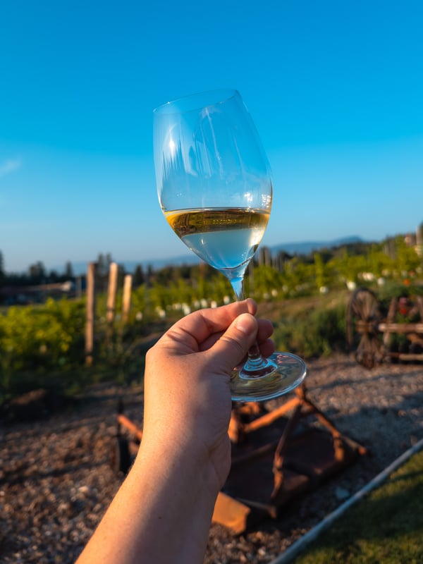 Hand holding up a glass of wine against a vineyard background