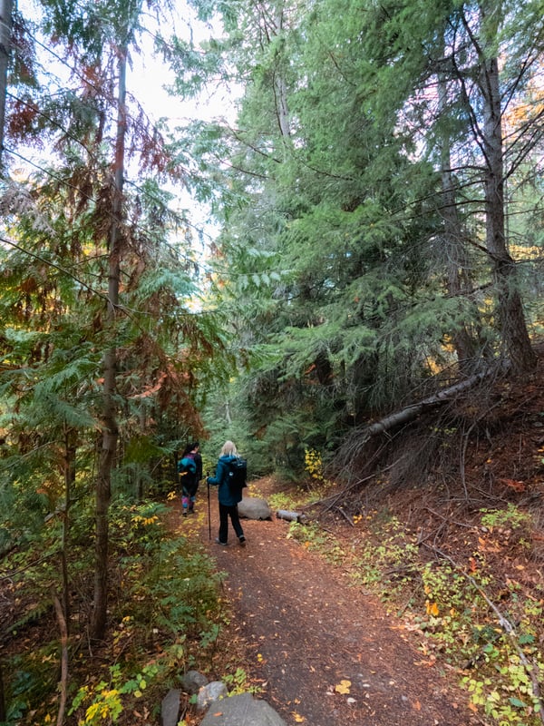 Two women hiking through a forest in the fall.