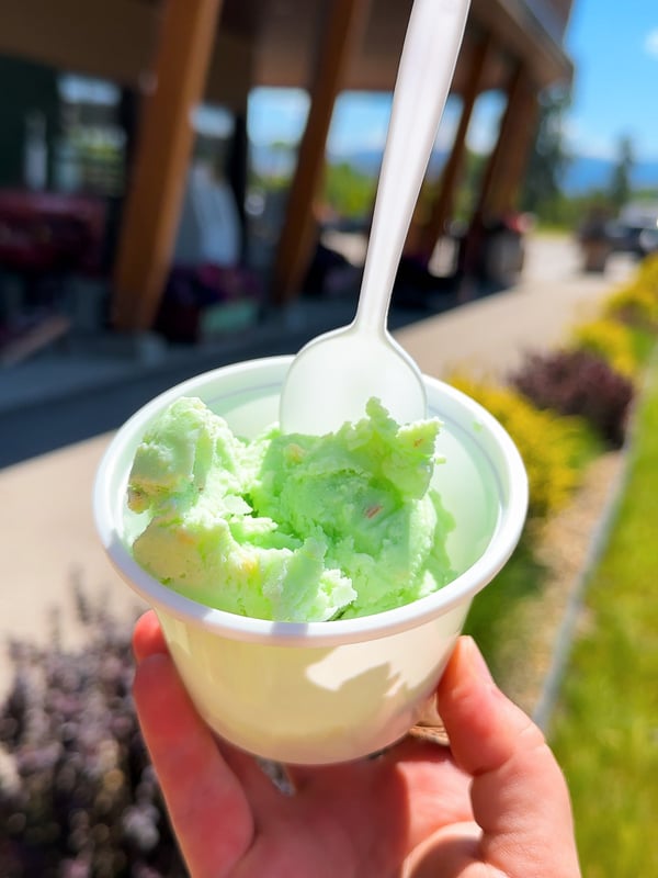 Person holding green pistachio ice cream in a cup outside the Kelowna Fruit Stand