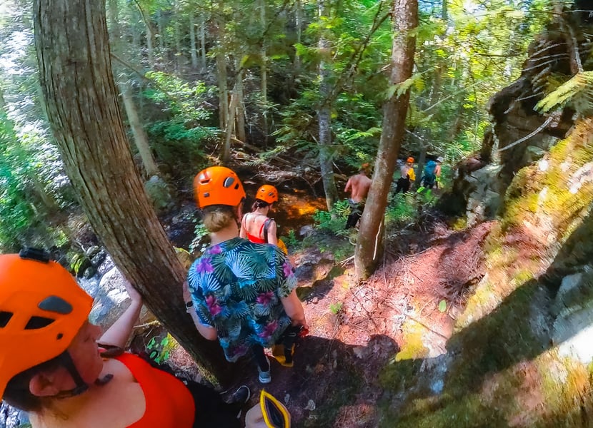 A group walks through a forest next to a creek