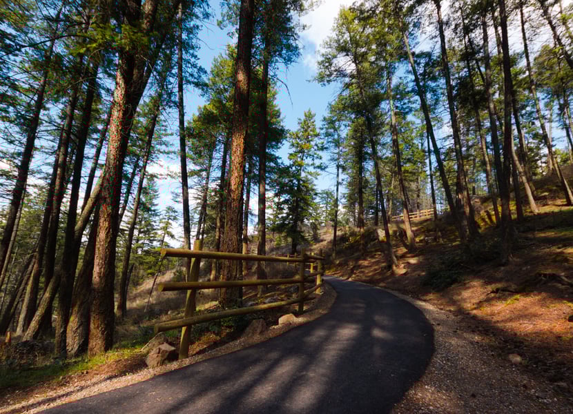 Paved trail through the trees to the day-use area at Ellison Provincial park in Vernon