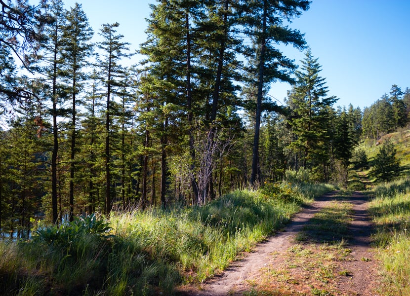 Trail around Kathleen Lake in Kelowna.