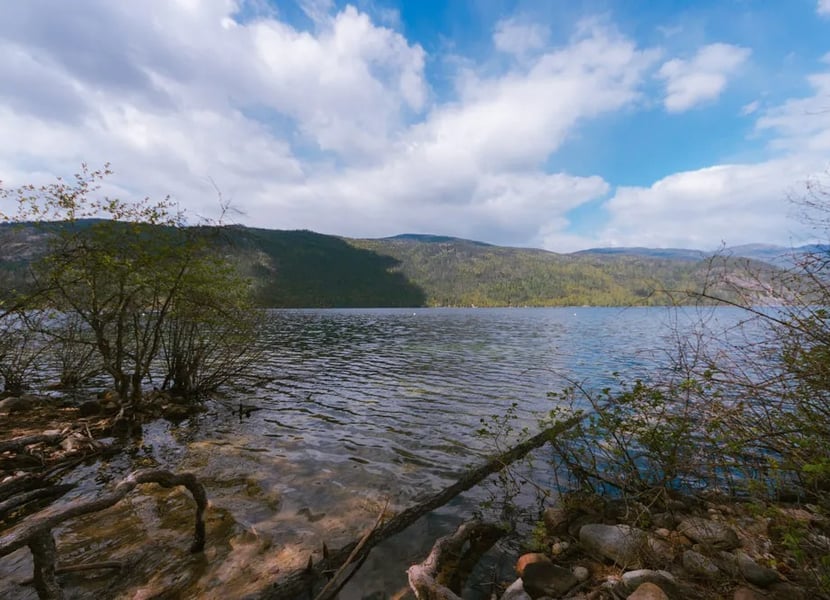 Christina lake from the shoreline
