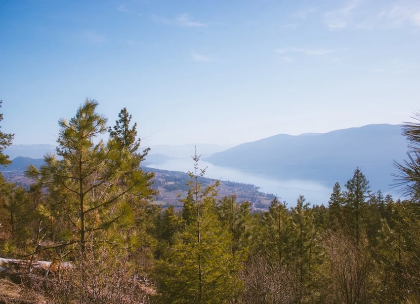 View of Okanagan Lake.