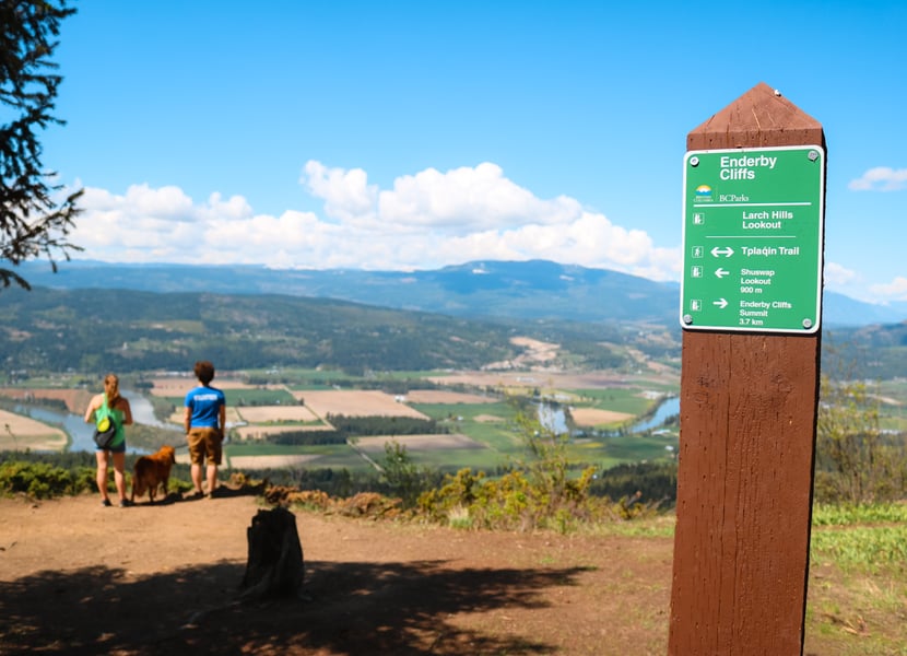 Closeup of the Larch Hills Lookout sign with two people overlooking the valley.