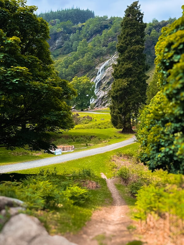 Viewing Powerscourt Waterfall from the start of the trail through the trees.