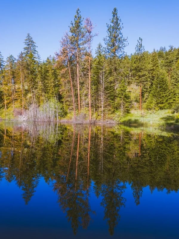 Reflective surface of Kathleen Lake on Knox Mountain in Kelowna.