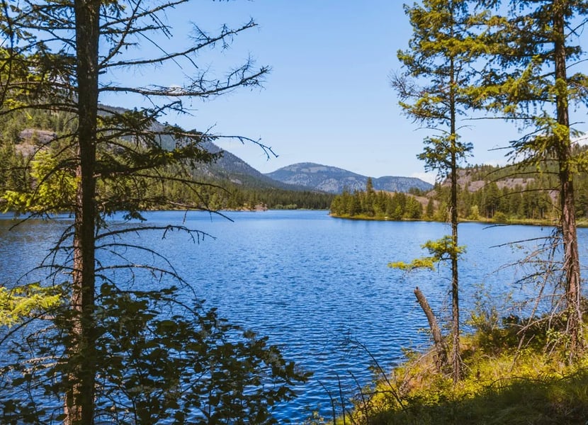 View of Rose Valley reservoir through the forest