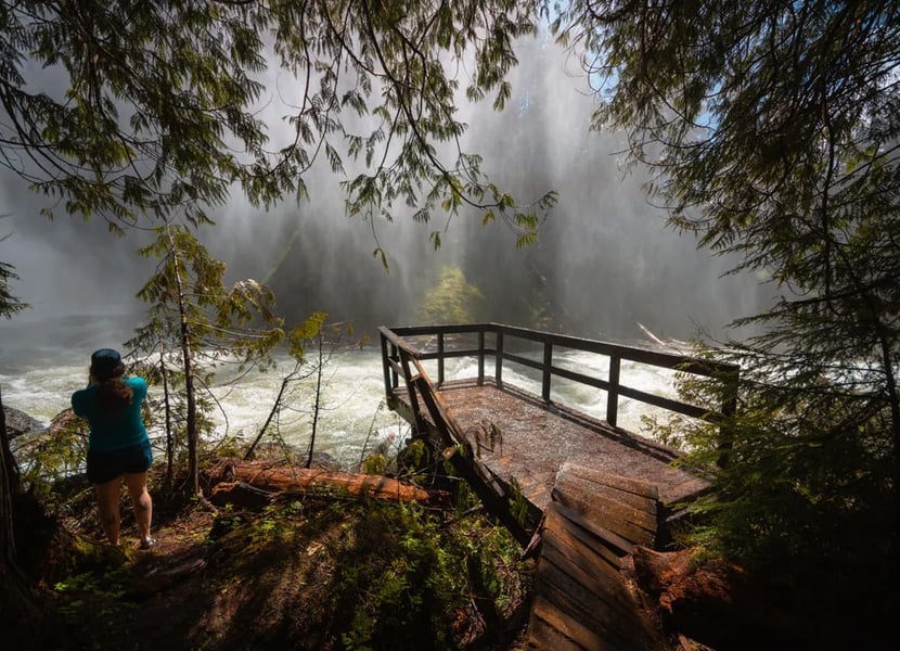 Woman stands next to a broken wooden viewing platform next to the misty Spectrum Creek.
