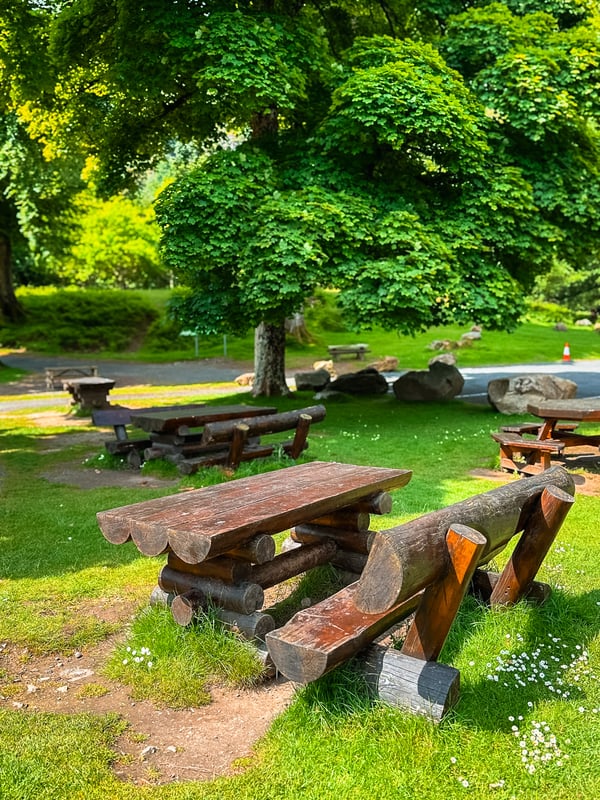 Picnic tables made of large logs.
