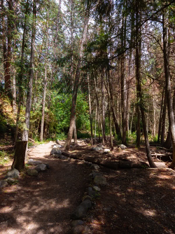 Mill Creek trail with shaded path and forest views