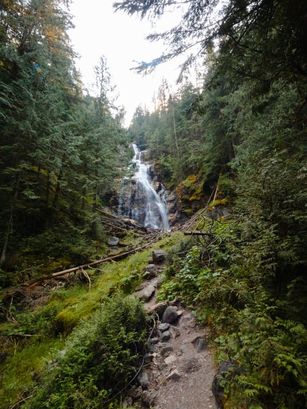 Narrow hiking path surrounded by trees on the way to Kay Falls