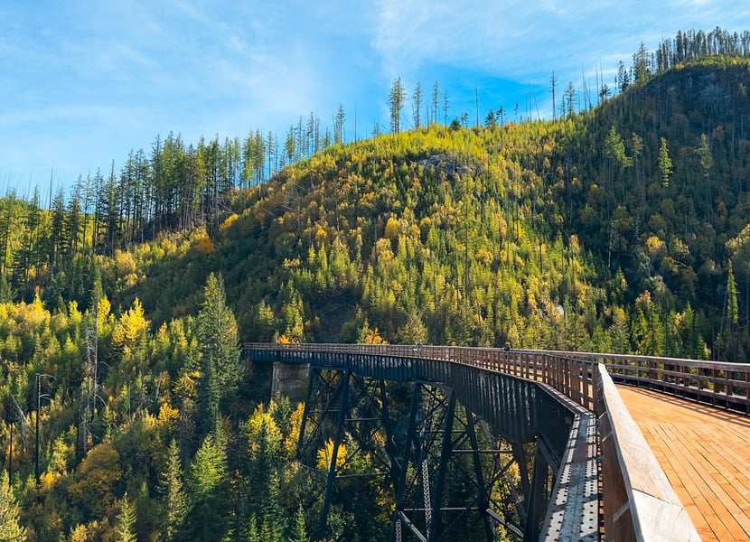 A wooden trestle disappears into a forested hillside.