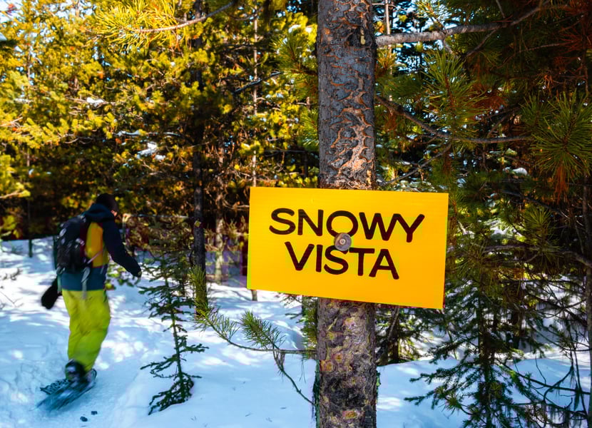 Man snowshoeing through a sunny forest with a sign that says "Snowy Vista" in the forefront.