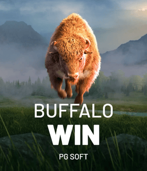 Buffalo Win