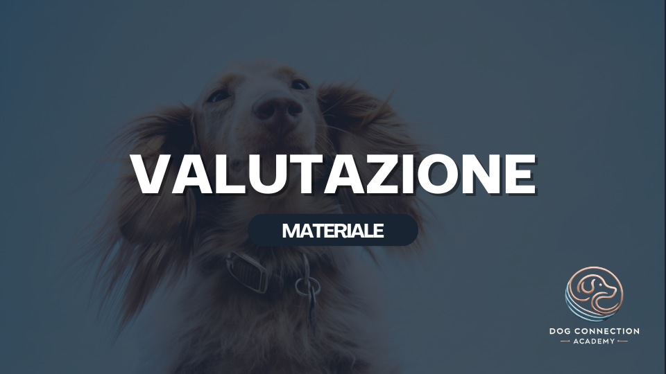 Materiale - Valutazione