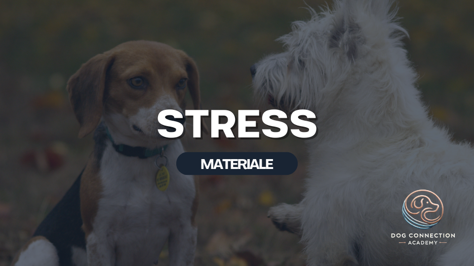 Materiale - Stress