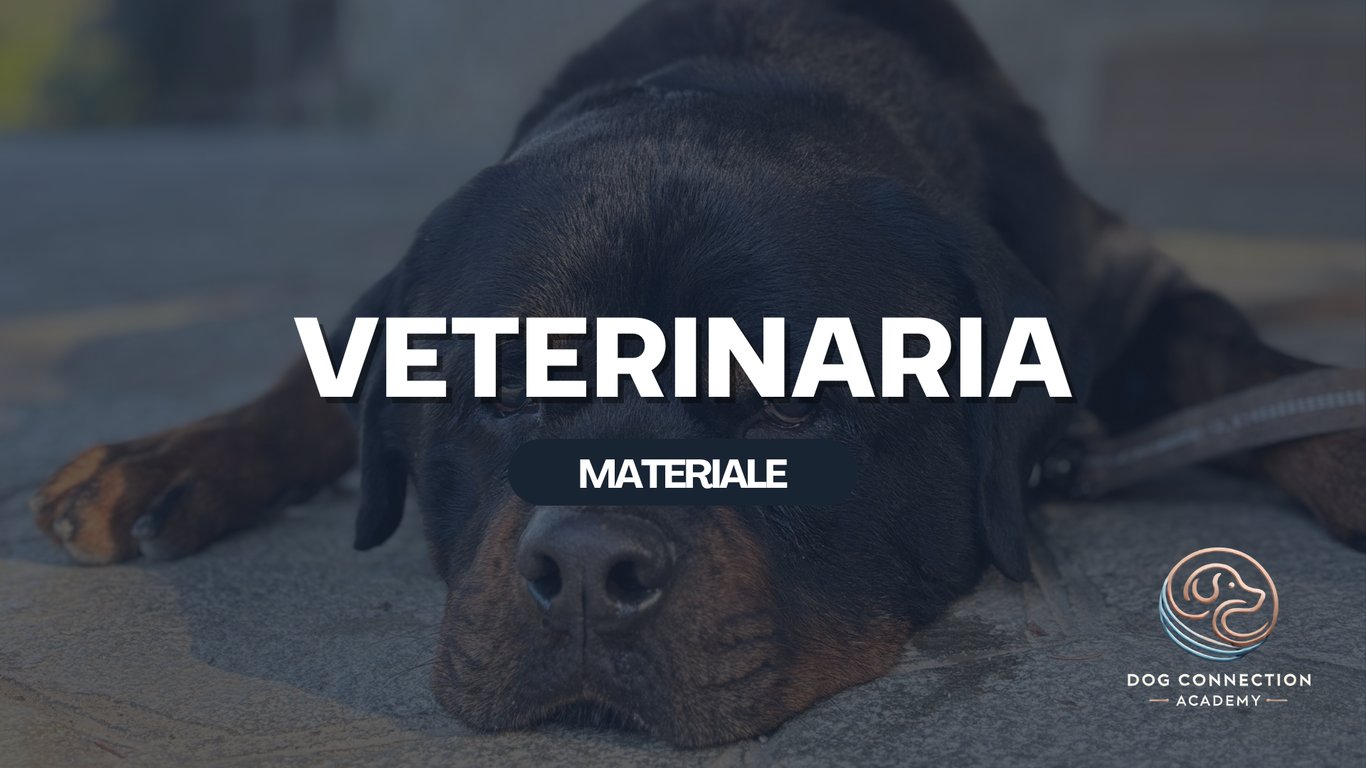 Materiale - Veterinaria