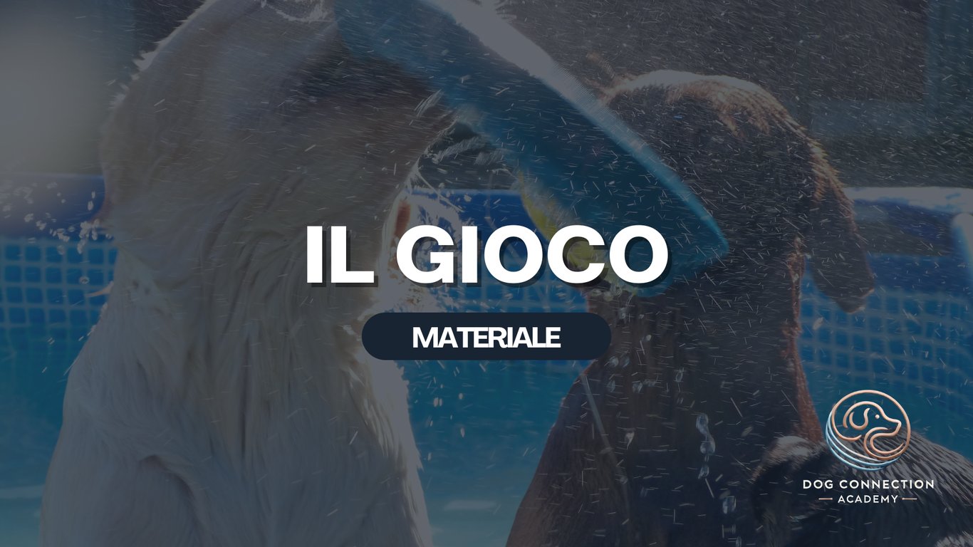 Materiale - Il Gioco