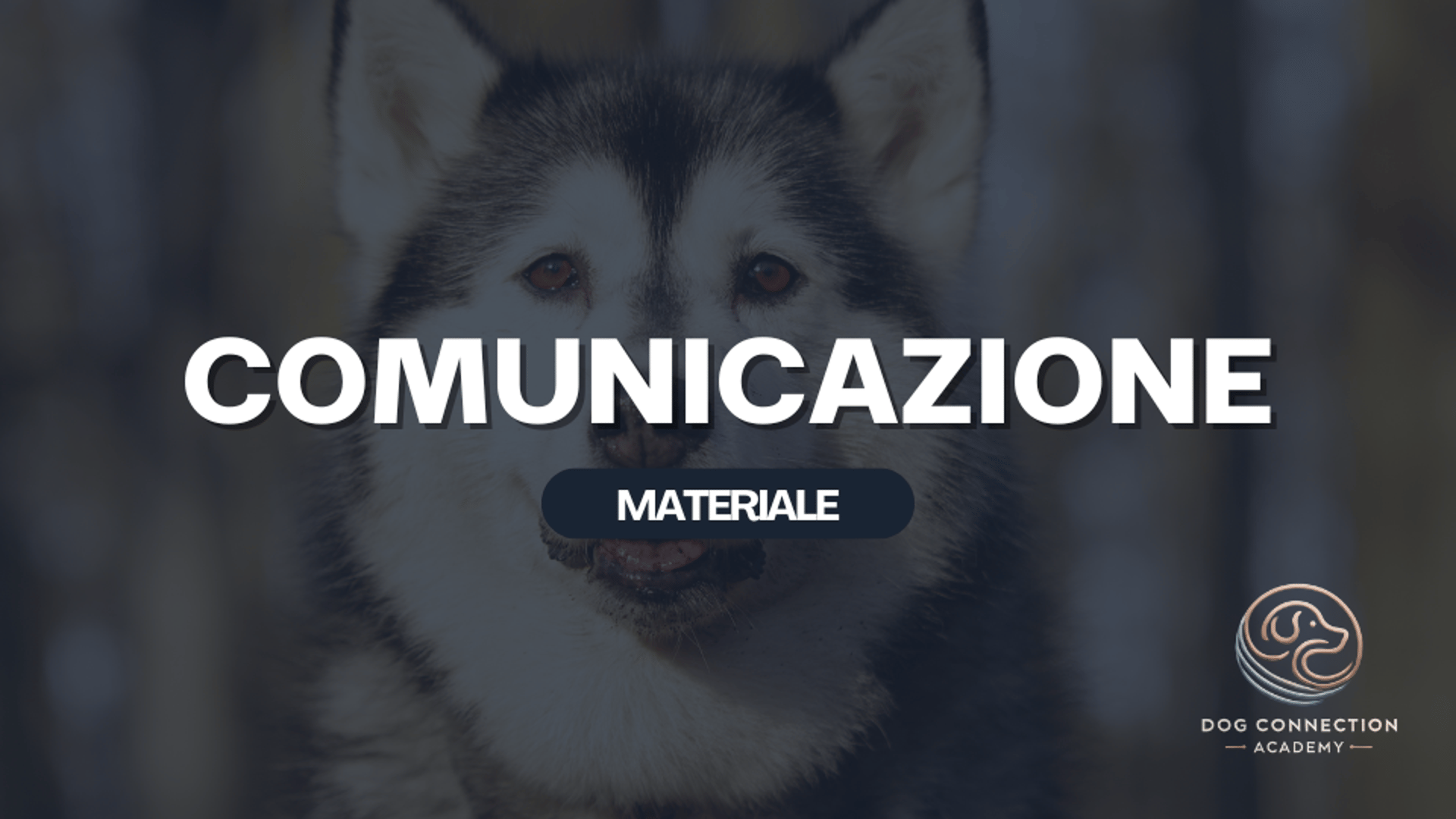Materiale - Comunicazione