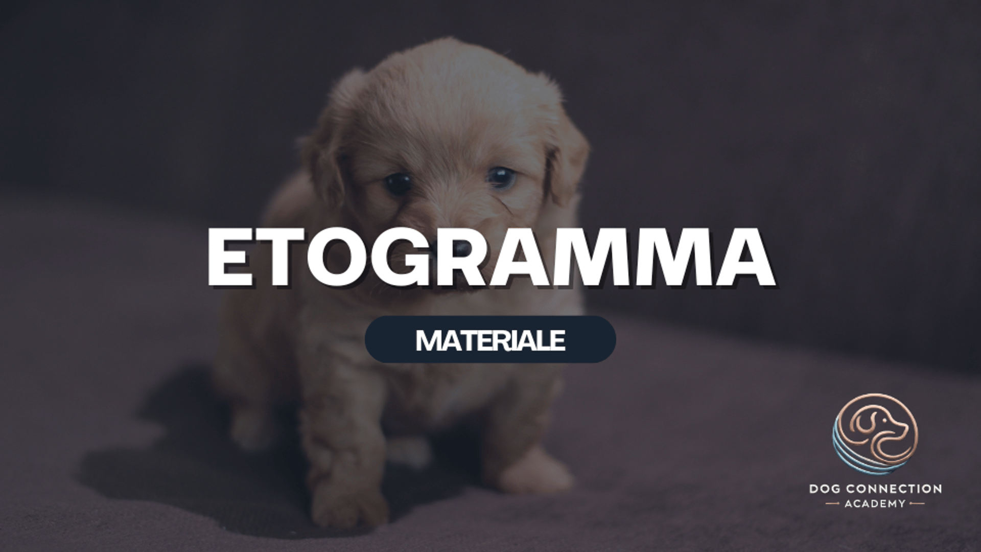 Materiale - Etogramma