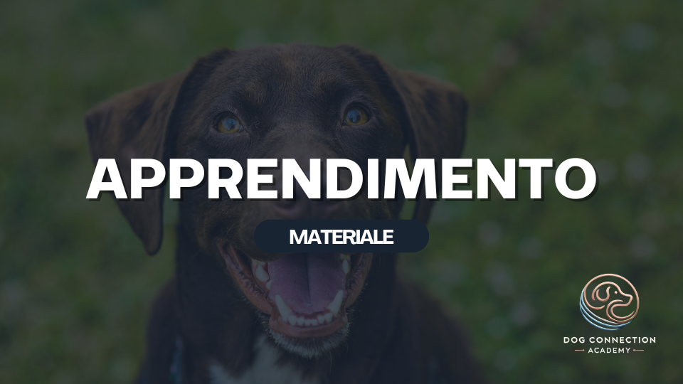 Materiale - Apprendimento