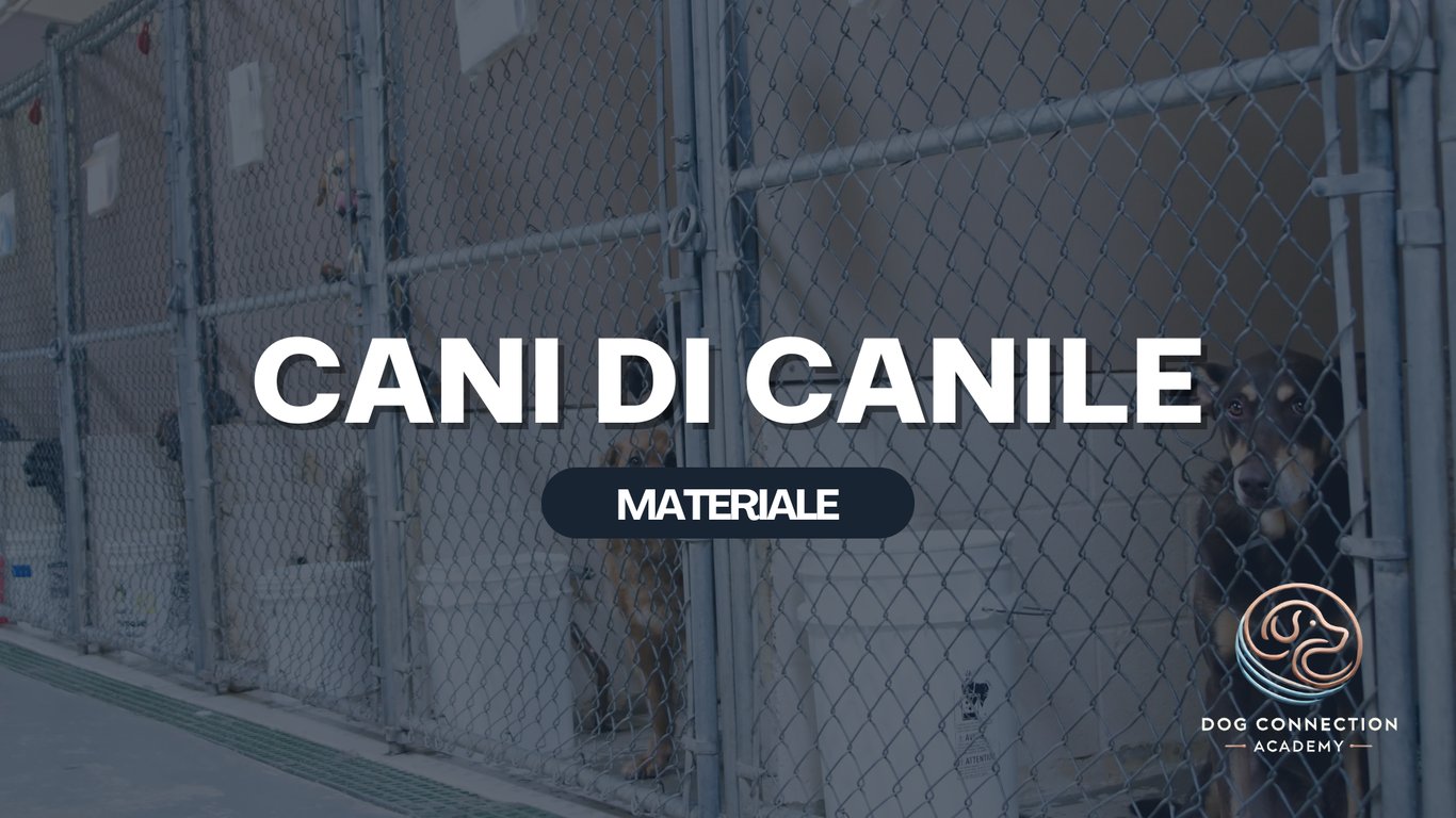 Materiale - Cani di Canile