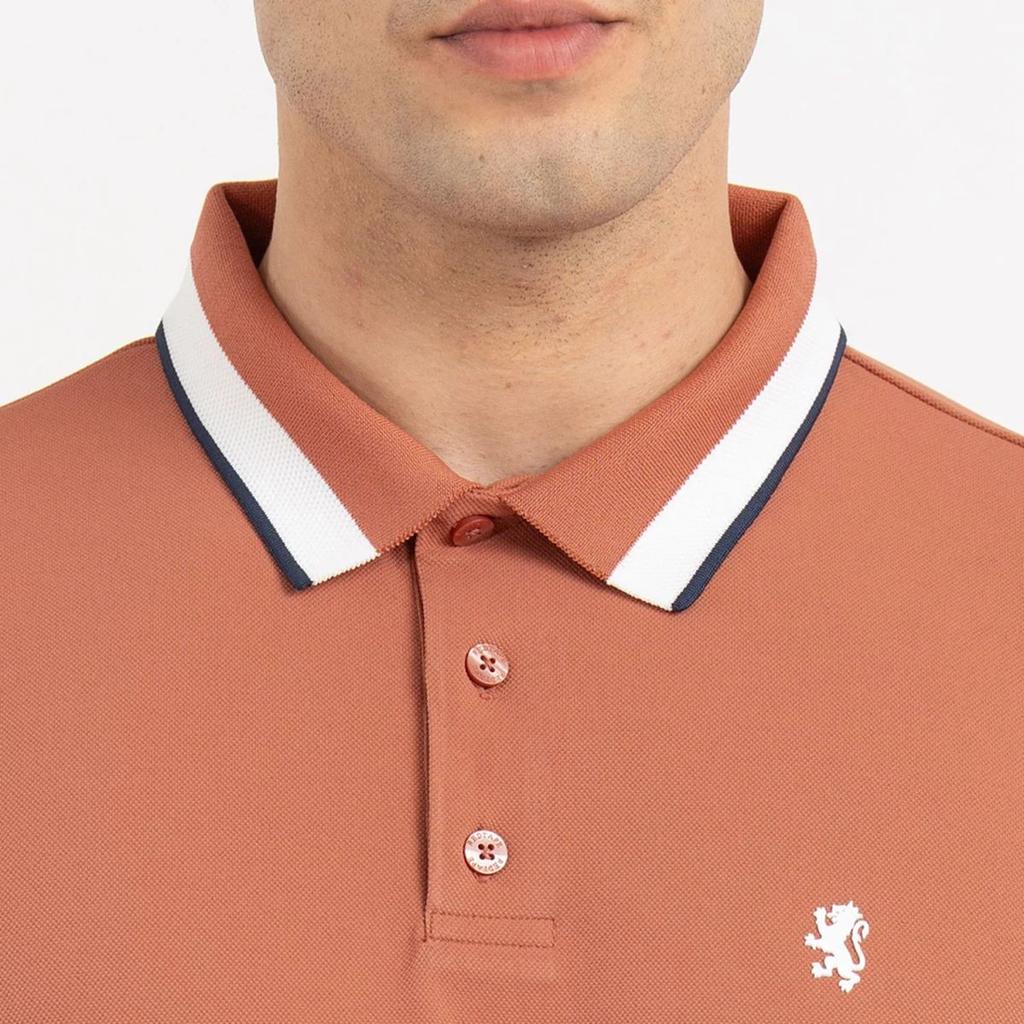 T Shirts for Men in Burnt Orange | Polo Half Sleeve T Shirt — photo 4
