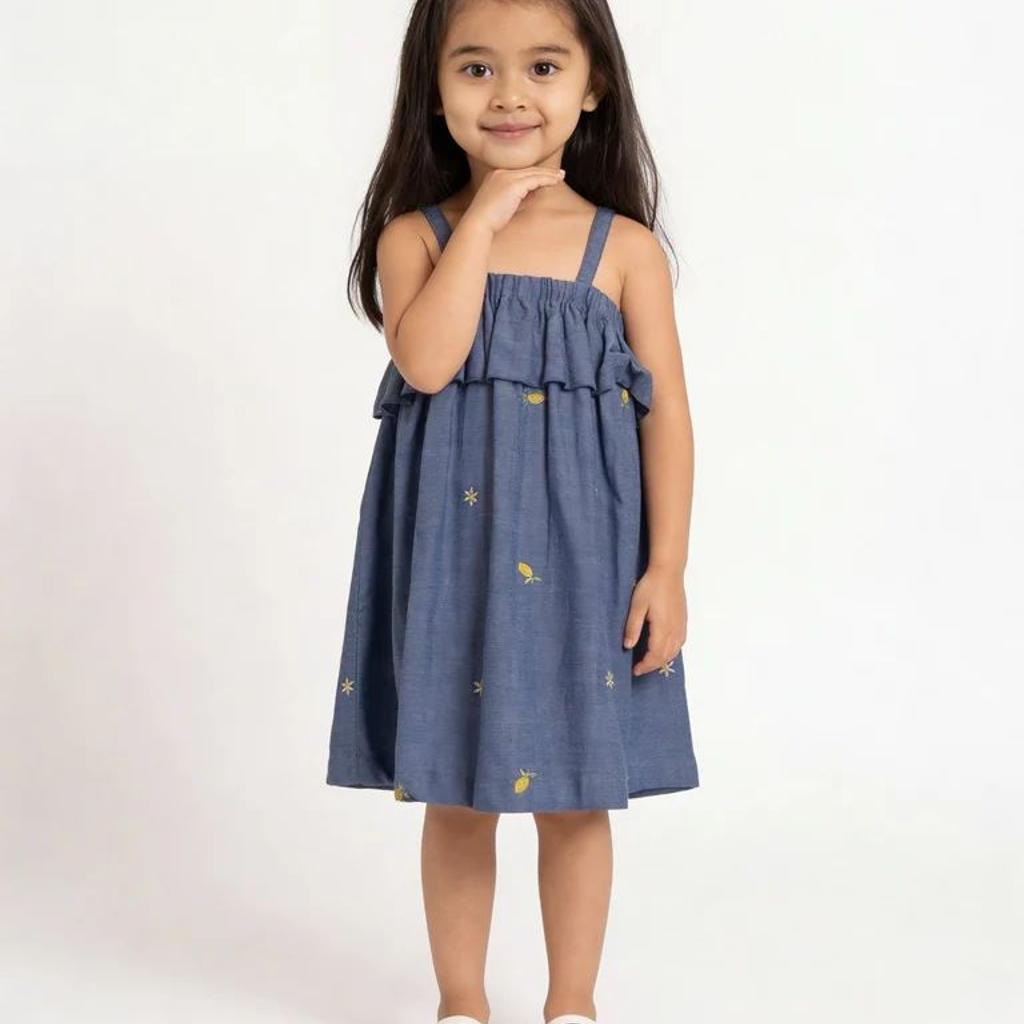 Utsa Kids Girls Blue Embroidered Cotton Dress - (2-8 yrs)