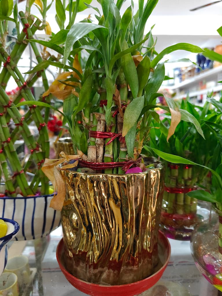 Gold Vase with Red Flowers | Decorative | Ceramic | Gold