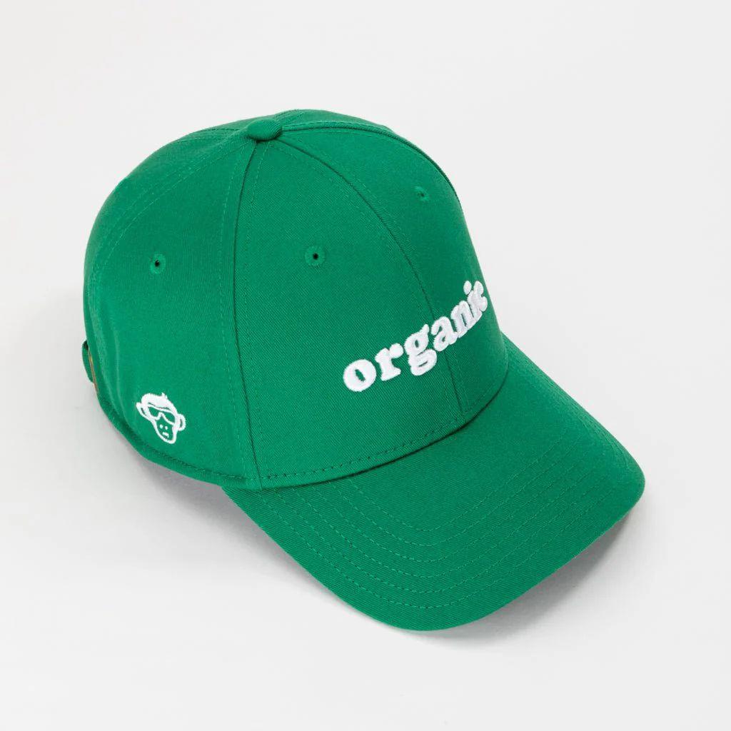 Organic — photo 5