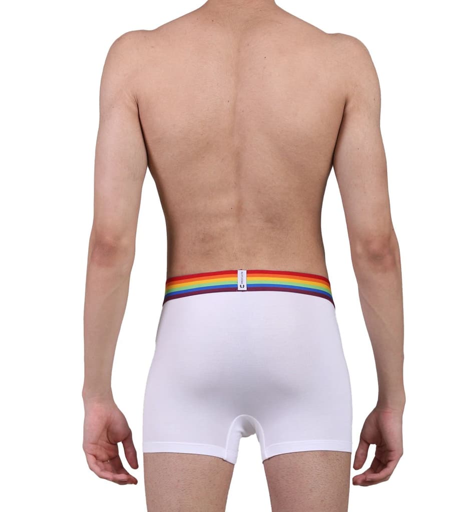 Pride Edition - Men's Anti-Bacterial Micro Modal Trunk (Pack of 1) — photo 2