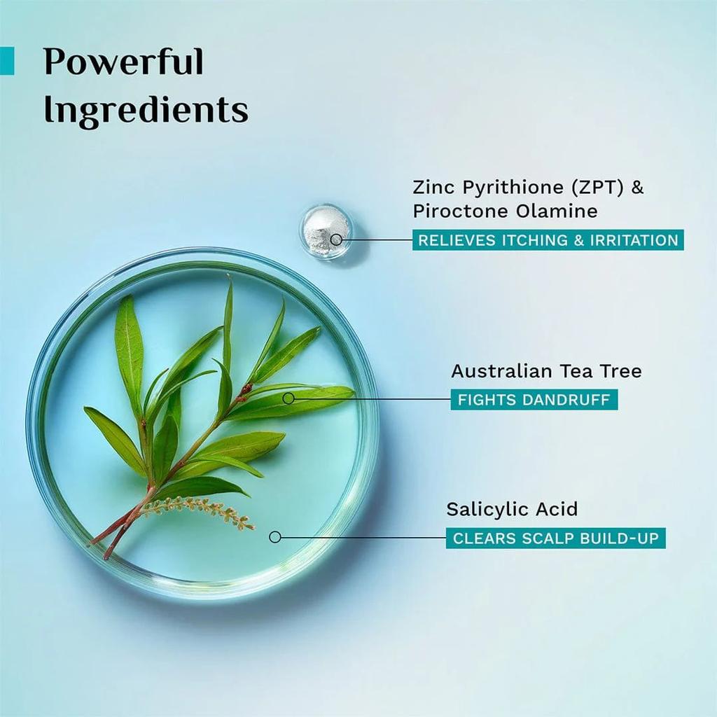 Australian Tea Tree Non-Drying Anti-Dandruff Shampoo & Conditioner Combo