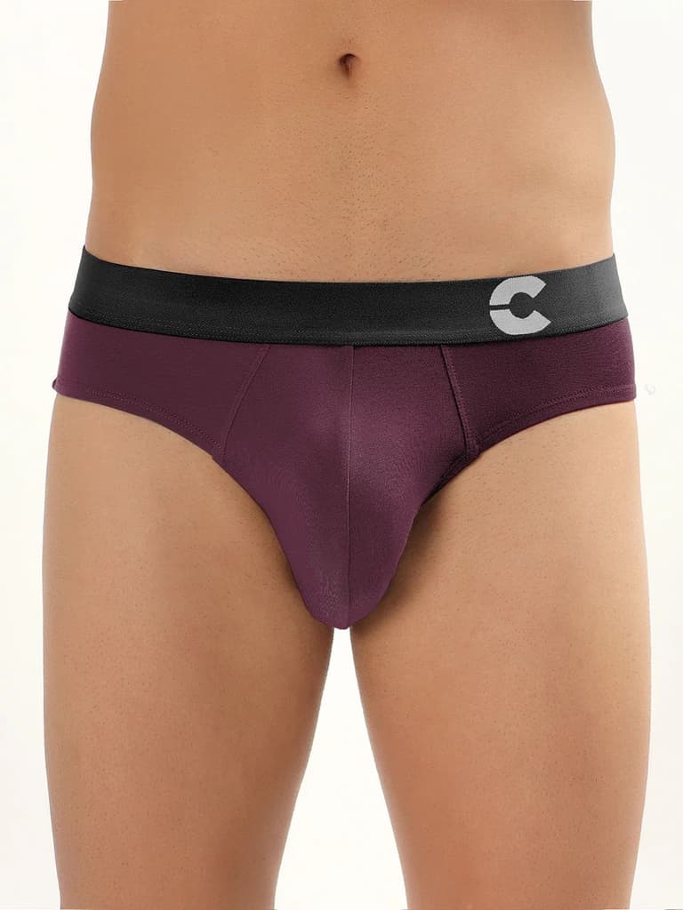 Men's Anti-Bacterial Micro Modal Brief (Pack of 3) — photo 9