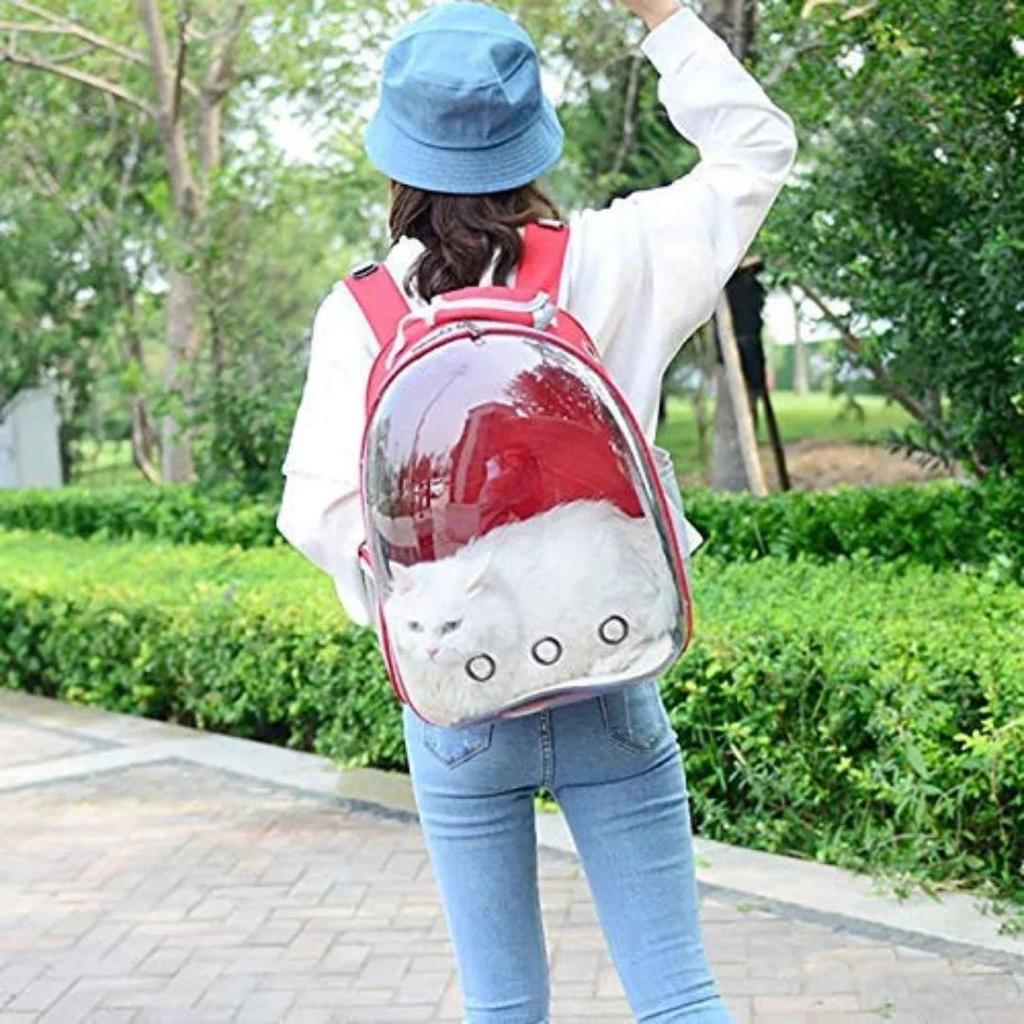 Pet Carrier Backpack | Breathable Travel Capsule for Puppies & Kittens — photo 2