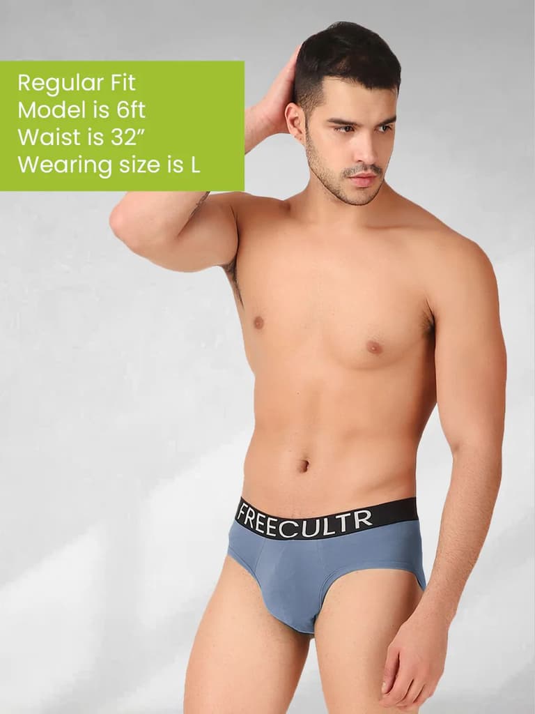 Men's Organic Cotton Briefs Pack of 4 — photo 8