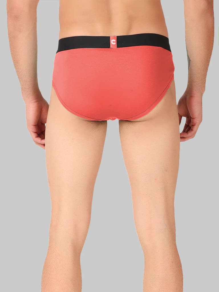 Men's Organic Cotton Briefs Pack of 4 — photo 10