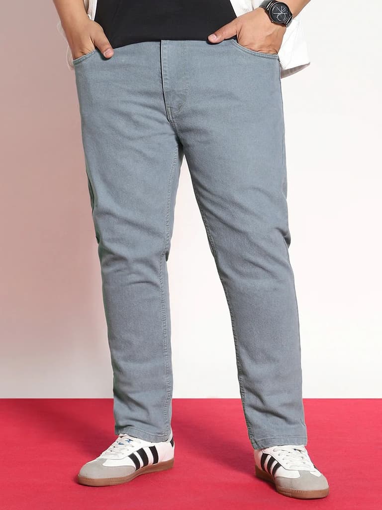 Plus Men's Light Grey Regular Fit Denim Jeans Stretchable — photo 2