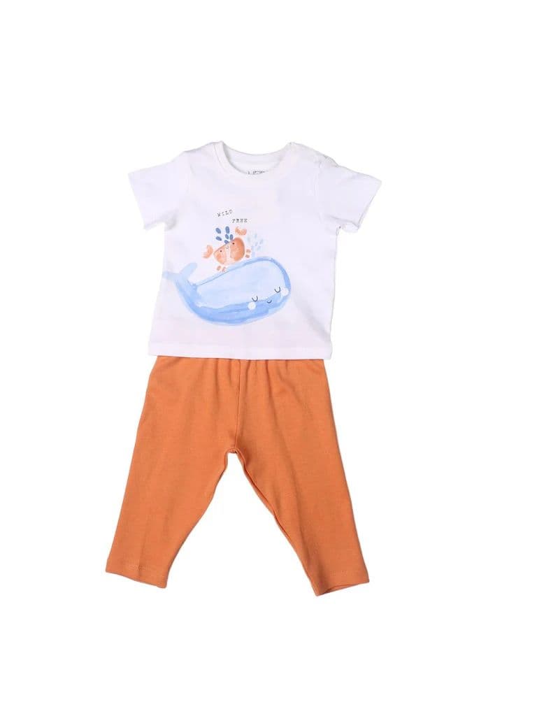 HOP Baby Boys Multicolour Printed Cotton T-Shirt and Pants Set — photo 2