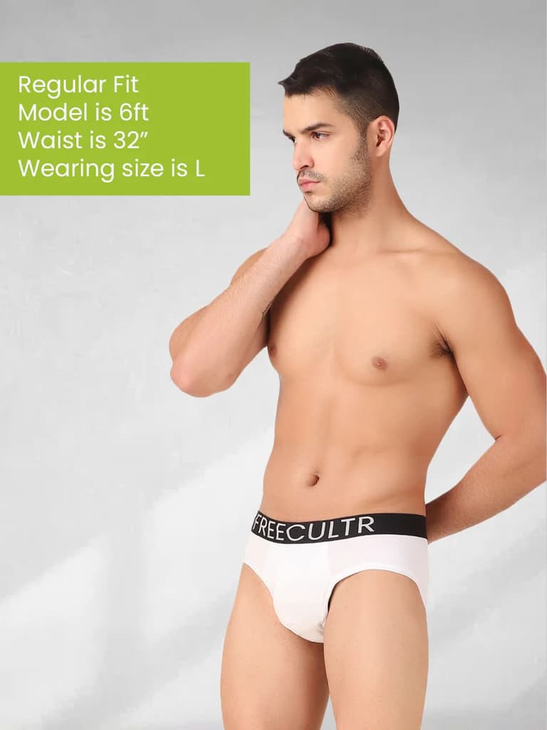 Men's Organic Cotton Briefs Pack of 5 — photo 8