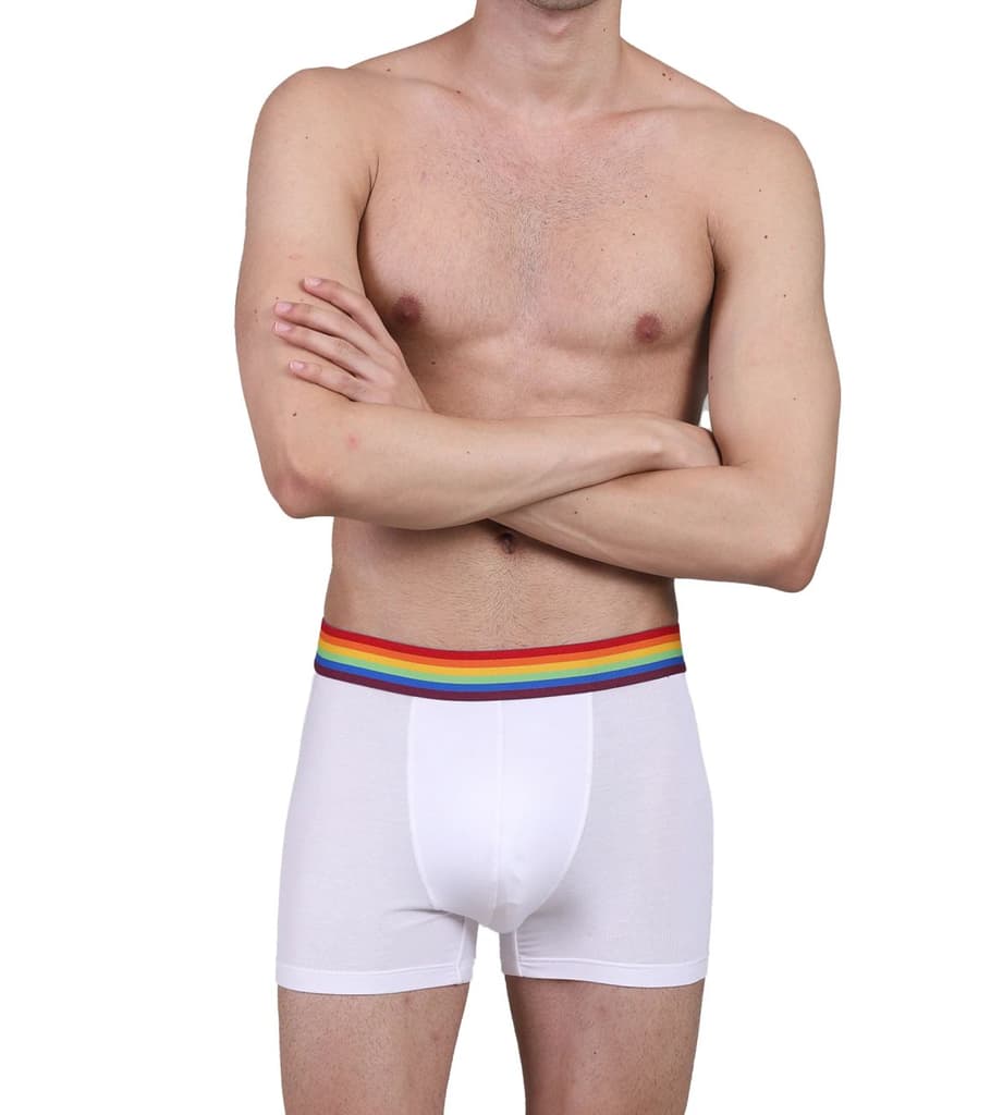 Pride Edition - Men's Anti-Bacterial Micro Modal Trunk (Pack of 1) — photo 9