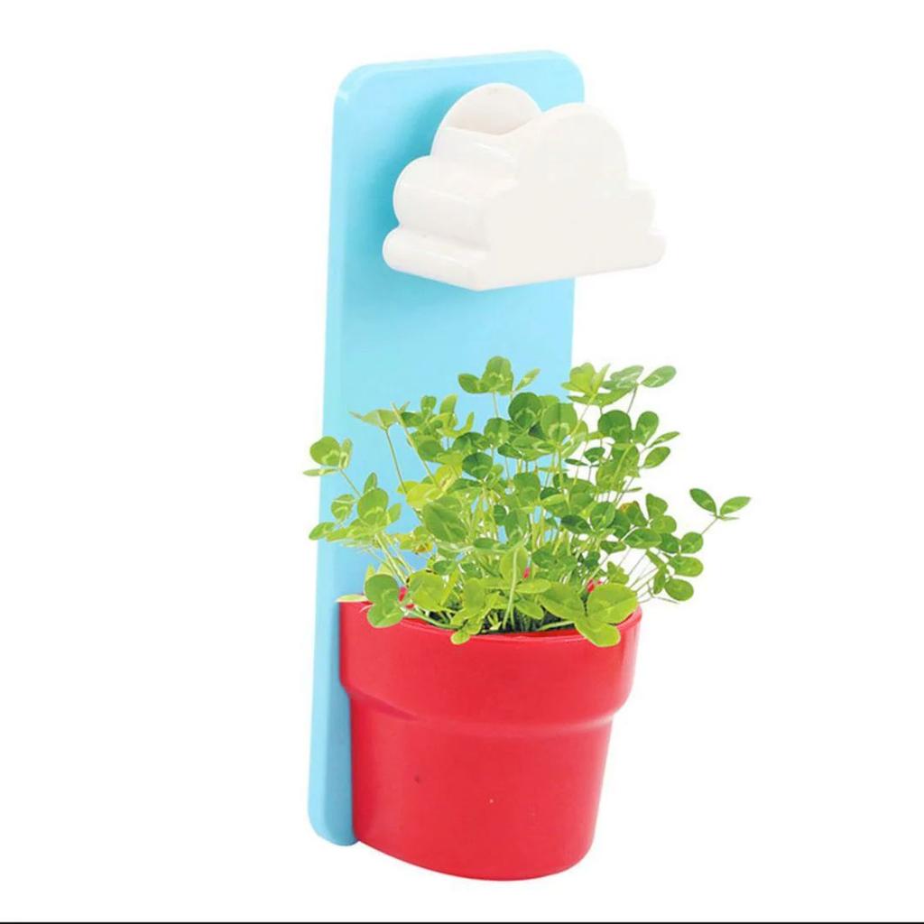 Rainy Cloud Pot – Wall Mounted Self-Watering Planter for Kids n Home Decor — Blue